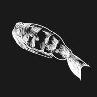 Shrimp sashimi with rice. Unique flat drawing of a sushi on a dark background vector