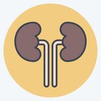Icon Kidney. related to Healthcare symbol. color mate style. design editable vector