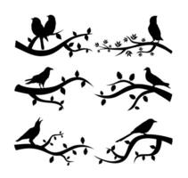 set of branch bird silhouette vector