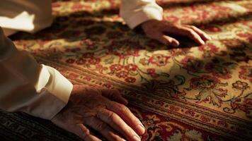 Man Prays For Ramadan On Carpet During Sunny Day video