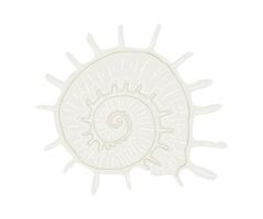 The shell is drawn in a flat style. Sea, coast, beach. Hand drawn illustration. vector
