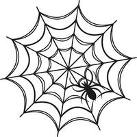Intricate Black and White Spider Web Design with Single Spider Silhouette vector