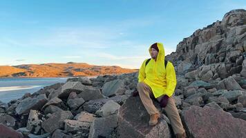 Adventurer is captivated by awe-inspiring scenery of Arctic wilderness, with its sparse flora and fierce winds. He is perched on boulder by ocean, taking in panorama. video