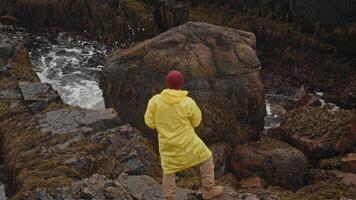 Tourist, wearing yellow raincoat and red hat, is fooling around by throwing pebbles into sea from rocky, wet shore covered in moss. video