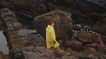 Young environmental scientist, wearing yellow raincoat and red hat, studies the effects of low tide on the wet, rocky coast, covered in mud and algae. video