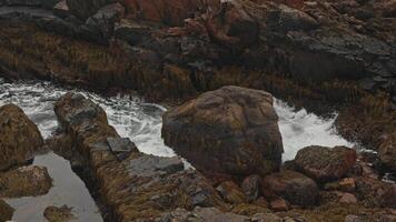 Large cold sea waves crash on shore of a damp, overgrown block of mud and green moss in northern scandinavian coast. video
