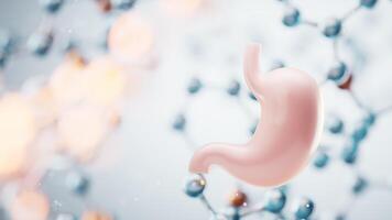 Stomach with transparent molecules background, 3d rendering. video