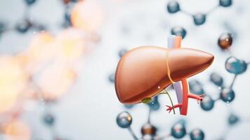 Liver with transparent molecules background, 3d rendering. video
