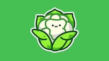 Cute Cabbage Animation with Smiling Face in 4K for Videos and Designs