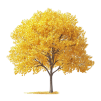 Autumn Yellow Tree png