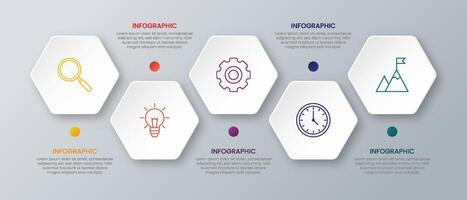 Timeline infographic hexagon shape vector