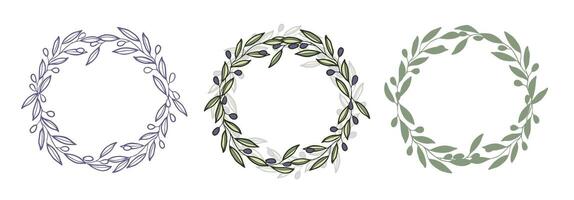 Circle wreath frame of olive branches and berries. vector