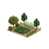 A vibrant, lush garden featuring diverse plants and trees in a serene outdoor setting. png
