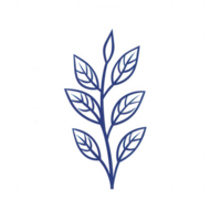 Elegant branch with detailed leaves, perfect for designs and eco-friendly themes. png
