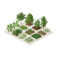 A vibrant garden layout featuring various plants and vegetables in organized sections. png