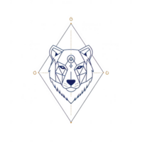 A geometric illustration of a bear's face with intricate lines and patterns. png