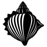 illustration of a seashell vector
