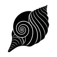 sea shell illustration vector
