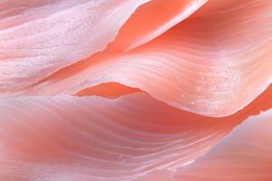 close up of pink raw salmon fish fillet texture for background and design photo