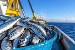 fish catch in a container on the deck of a fishing seiner photo