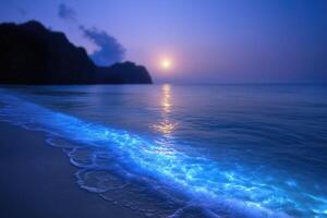 mareel is a natural phenomenon that occurs when the surface layers of the sea or ocean are filled with microorganisms capable of bioluminescence. photo