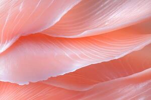 close up of salmon fish fillet texture for background photo