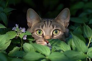 Portrait of a cat with green eyes in the grass and flowers photo