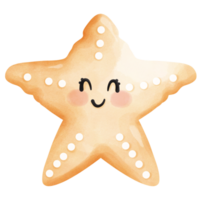starfish with smiling faces png