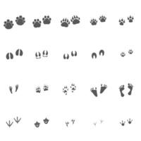Traces with signature. A large set of traces of animals and birds, as well as humans, isolated on white. vector