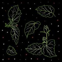 Set of hibiscus leaves and buds outlined in green on a black background. Minimalistic botanical design suitable for patterns, fabric prints, wallpapers, packaging, invitations, or eco-themed projects vector