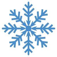 Snowflake Illustration Ideas vector