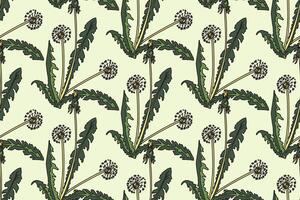 Botanical abstract seamless pattern background with dandelion flowers illustration. Repeating floral print in beige retro pastel colors.Graphic design for Wallpaper Wrapping Cover Print Textile vector