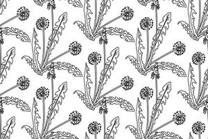 Botanical Line art abstract seamless pattern background with dandelion flowers illustration. Black and white repeating floral print. Graphic design for Wallpaper Wrapping Cover Textile Fashion vector
