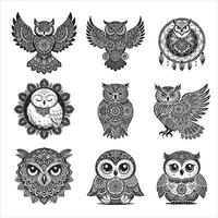 Owl Bird Mandala Pattern Art Bundle vector