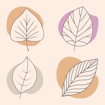 Set of leaves. Abstract blob with leaf. Aesthetic blob with leaf. Flat leaves collection vector