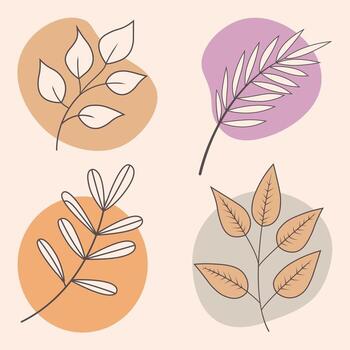 Set of leaf. Abstract blob with leaf. Aesthetic blob with leaf. Flat leaves collection vector