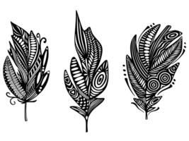 Set of feathers in boho style vector