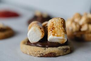 Homemade american chocolate chip cookie with burnt marshmallows with other cookies on background. photo