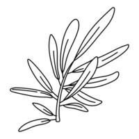 The olive branch is outlined. Isolated flat illustration. An environmentally friendly product with olive oil content. A symbol of a natural product. Contrasting outline for coloring vector