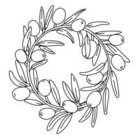 wreath of branches with olives in the outline. An isolated closed illustration. An environmentally friendly product with olive oil content. symbol of natural product. Contrasting outline for coloring vector