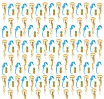 jellyfish, seahorse with fruit as a pattern background vector
