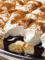 Indulge in a luscious creamy bavarian dessert that dances with velvety chocolate sauce. The airy whipped topping adds an inviting charm to every delightful spoonful, perfect for any sweet occasion photo