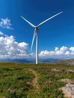 A wind turbine on a mountain top with wildflowers photo