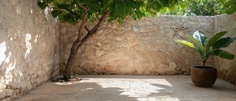 Sunlit corner with plants in a rustic stone building photo