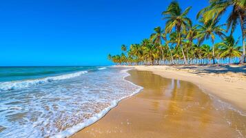 A serene beach with palm trees and clear blue water under a sunny sky. photo