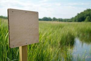 Care for freshwater ecosystem concept. Blank wooden signpost in a grassy wetland landscape. photo