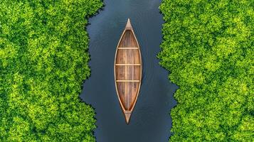 Care for freshwater ecosystem concept. Aerial view of a wooden boat surrounded by lush green vegetation. photo