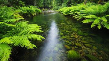Care for freshwater ecosystem concept. Serene river flowing through lush green ferns and rocks in a forest. photo