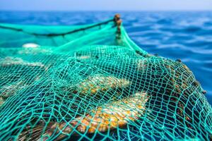 Sustainable management with fisher. Fishing net with seafood against a calm ocean backdrop. photo