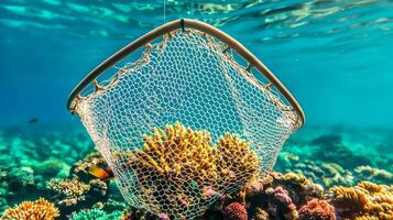 Sustainable management with fisher. Underwater net capturing vibrant coral reef life. photo